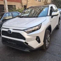 راوفور فول چین