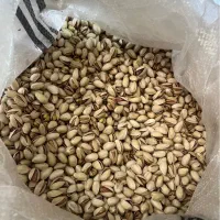 پستهی واقعی و تازه،مستقیم از تولیدکننده|خوردنی و آشامیدنی|یزد, |دیوار
