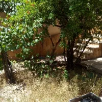 فروش-مغازه-25متر-بلوارامیرکبیرکیانمهر