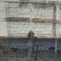 قفس کبوتر|لوازم جانبی حیوانات|ایلام, |دیوار