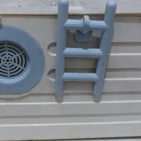 لونه پرنده عروس هلندی