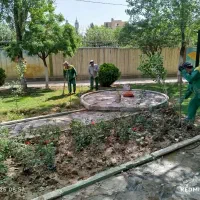 متخصص هرس درختان میوه و درختان خیابان|خدمات باغبانی و درختکاری|اسلامشهر, صادقیه|دیوار