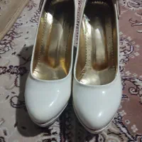 کفش مجلسی