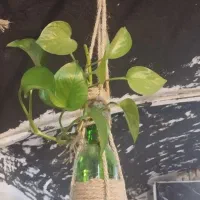 گلدان اویزی تزئینی وشیشه ای