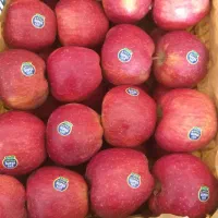 تحویل مغازه میوه فروشی