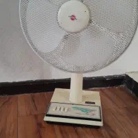 پنکه