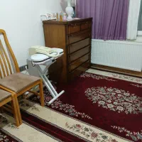 درآور رنگ چوب براق خوشگل