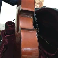 ویولنسل هافنر.ویلنسل هافنر.|ویولن|تهران, فردوس|دیوار