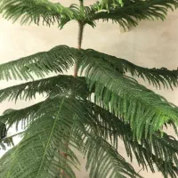 واگزاری رستوران