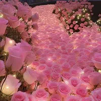 درخواست ش غ ل دوم