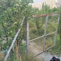 باغ ۶۲۰ متری سند شش‌دانگ - برق - ۴۵ درخت بارده