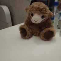 تعدادی عروسک نو|اسباب‌‌بازی|اندیشه, اندیشه فاز ۱|دیوار