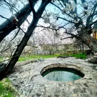 باغ حوضی ارم|اجارهٔ کوتاه‌مدت ویلا و باغ|شیروان (خراسان), |دیوار