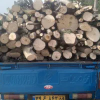 فروش خرید چوب|خدمات باغبانی و درختکاری|گرگان, |دیوار