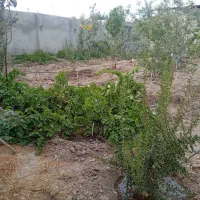 خانه ویلایی فروشی