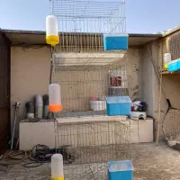 قفس جفتگاه کبوتر