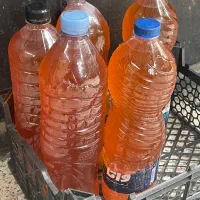 آبغوره محلی