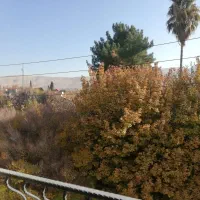 مغازه 82 متر