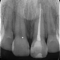 دندانپزشک، مسئول فنی مطب