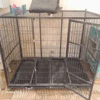قفس پانسیونی بزرگ