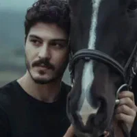 عکس آتیله  ای|تابلو، نقاشی، عکس|یاسوج, |دیوار