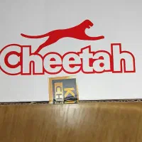 پخش خودرو cheetah.فقط 1300یک و سیصد|قطعات یدکی و لوازم جانبی|اسلام‌شهر, باغ فیض|دیوار