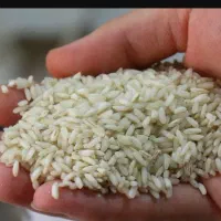 برنج عنبر بو درجه یک