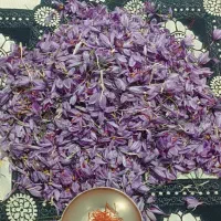فروشه زعفران تازه واسه امسال