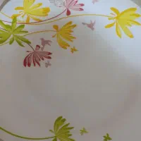 سرویس 18نفره ارکوپال