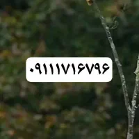 خط یک گرگان۰۹۱۱۱۷۱۶۷۹۶