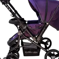 کالسکه دلیجان