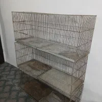 سه عددقفس غلامی