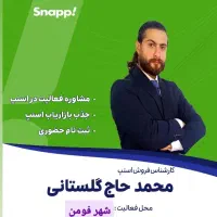 جذب خانم و آقا اسنپ