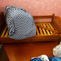 تخت نوجوان چوبی به همراه کفی چوبی|تخت و سرویس خواب|بجنورد, |دیوار