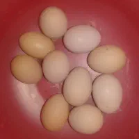 تخم مرغ محلی تازه درشت