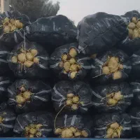 فروش سیب زمینی سوپر لوکس اسپریت