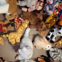 عروسک|اسباببازی|کرمان, |دیوار