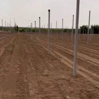 گلخانه نت هوس