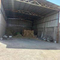 گاوداری5000متری فول امکانات|فروش دفتر صنعتی، کشاورزی، تجاری|رفسنجان, |دیوار