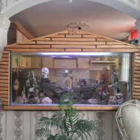 آکواریوم