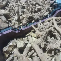 ریشه جیسینگ هندی یااشواگاندا