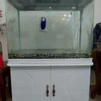 فروش اکواریوم شرکتی ۸۰ سانت خم