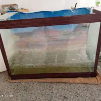 آکواریوم|ماهی|فلاورجان, |دیوار