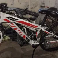 دوچرخه ویوا ۲۴ دو عدد|دوچرخه، اسکیت، اسکوتر|آبپخش, |دیوار