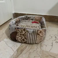 تشک و جای خواب پت