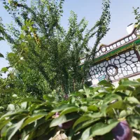 استاد بنایی