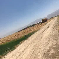 خرید کلش گندم
