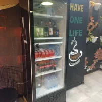 یخچال ایستاده زیمان