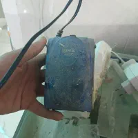 آکواریوم|ماهی|ملایر, |دیوار