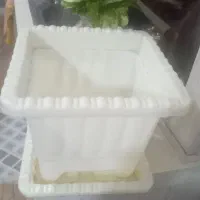 گلدان مناسب گل و گیاه سه مدل مختلف